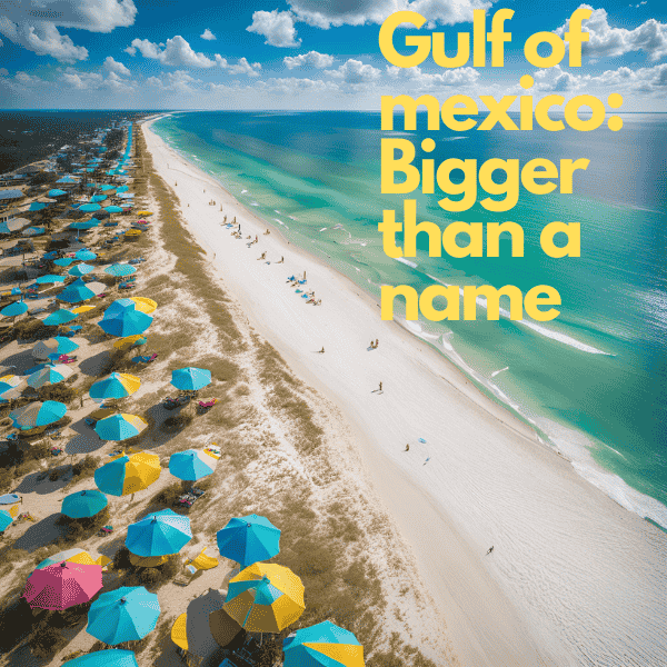 A breathtaking view of the Gulf of Mexico, showcasing its serene blue waters, vibrant marine life, and coastal beauty.